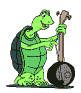 131_285_557.gif