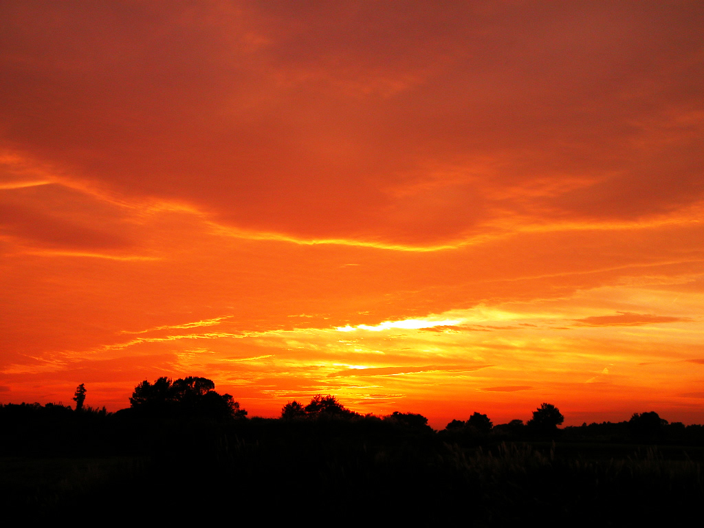 1287_2594_7749.jpg