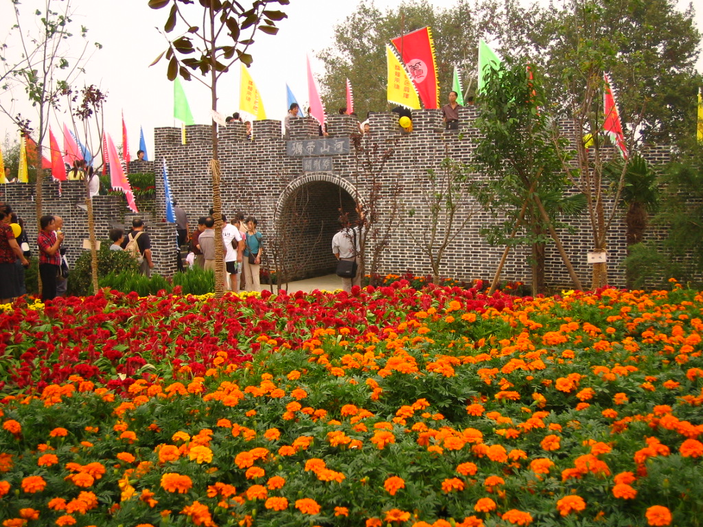 3864_12791_15467.jpg