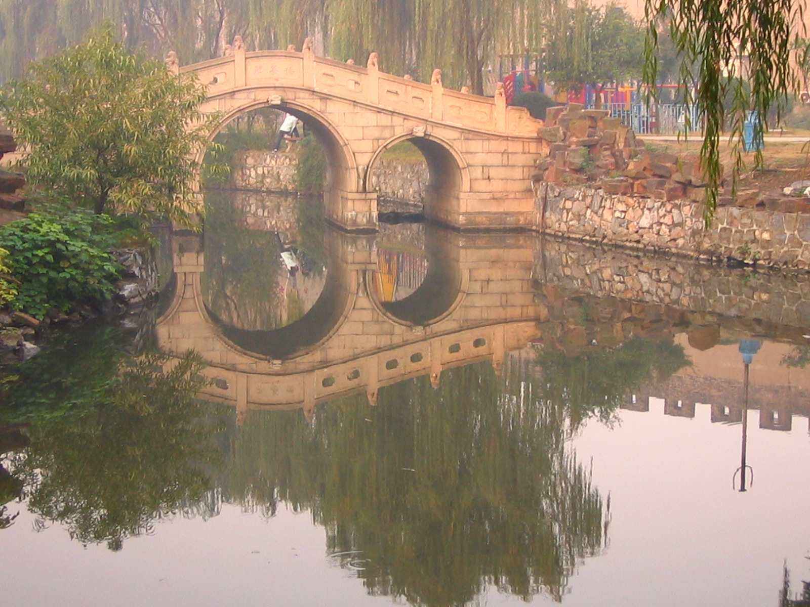 4126_13565_16135.jpg