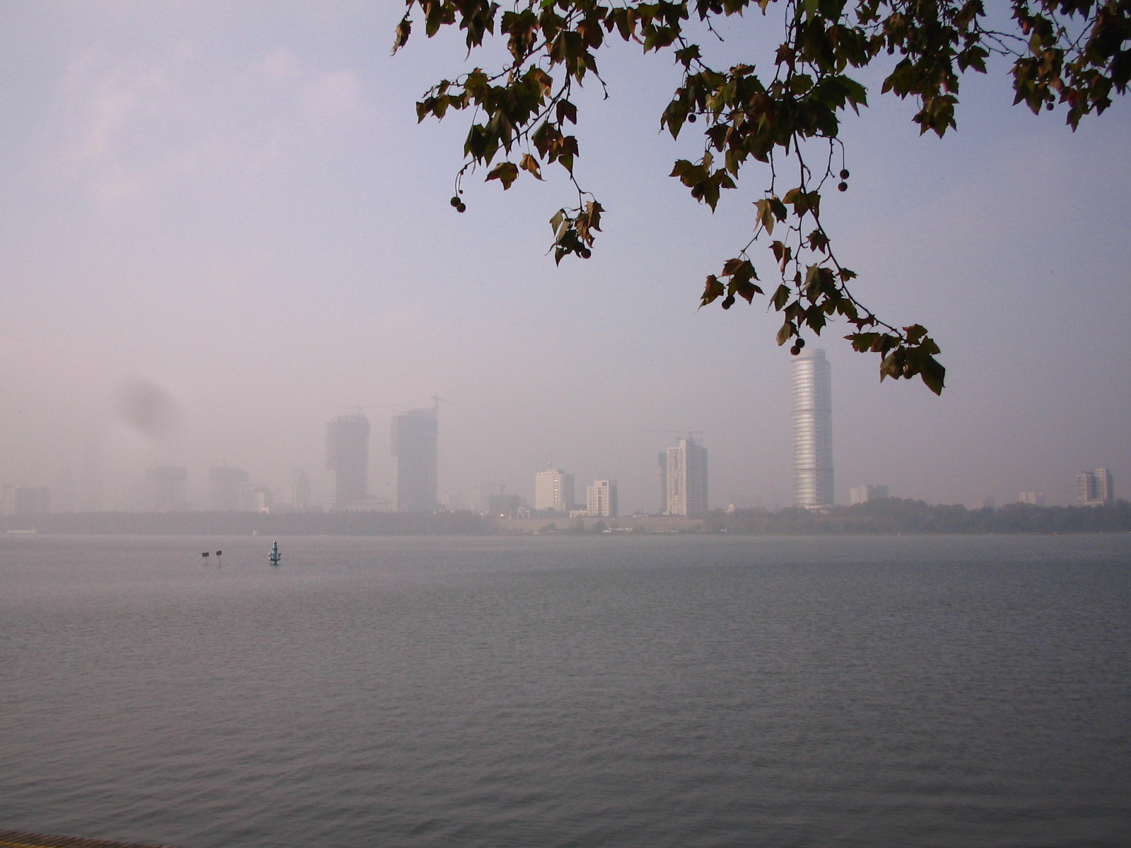 4344_14479_16872.jpg
