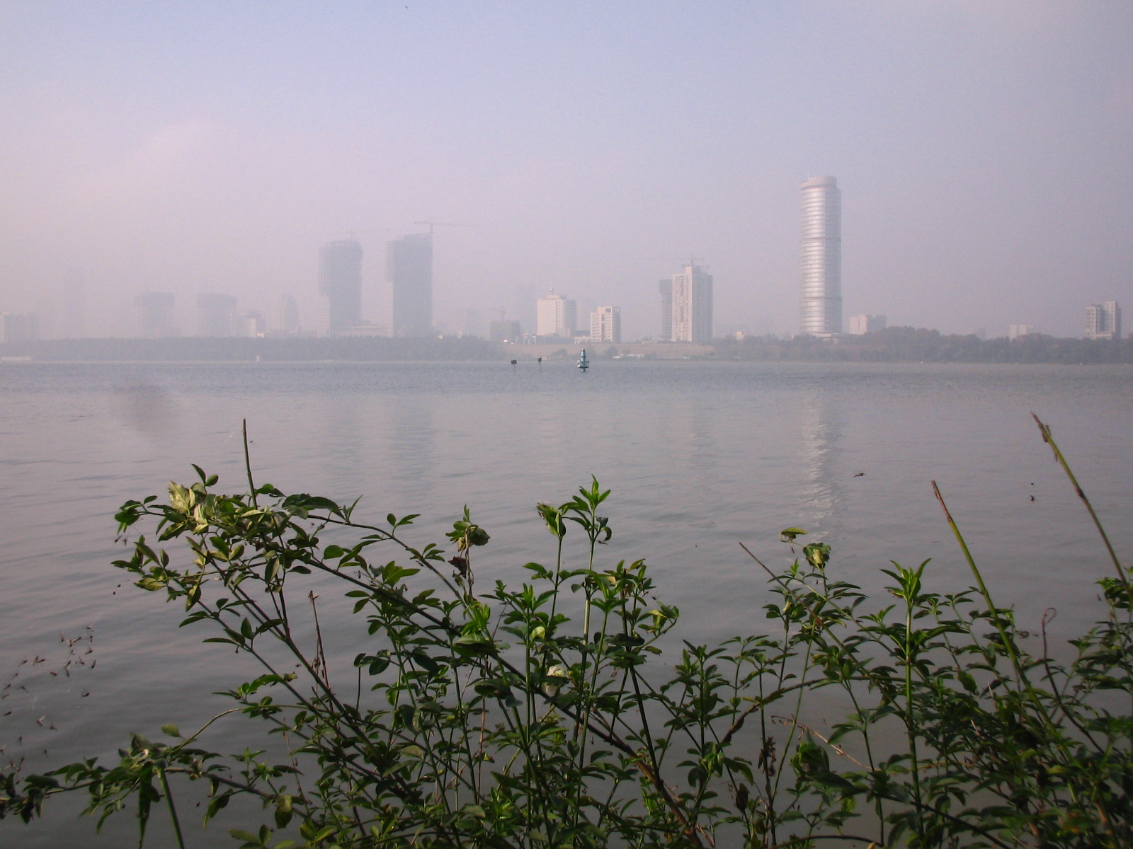 4344_14481_16874.jpg