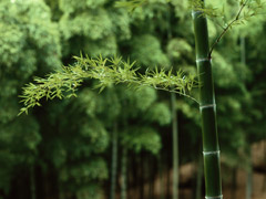 4341_14437_16907.jpg
