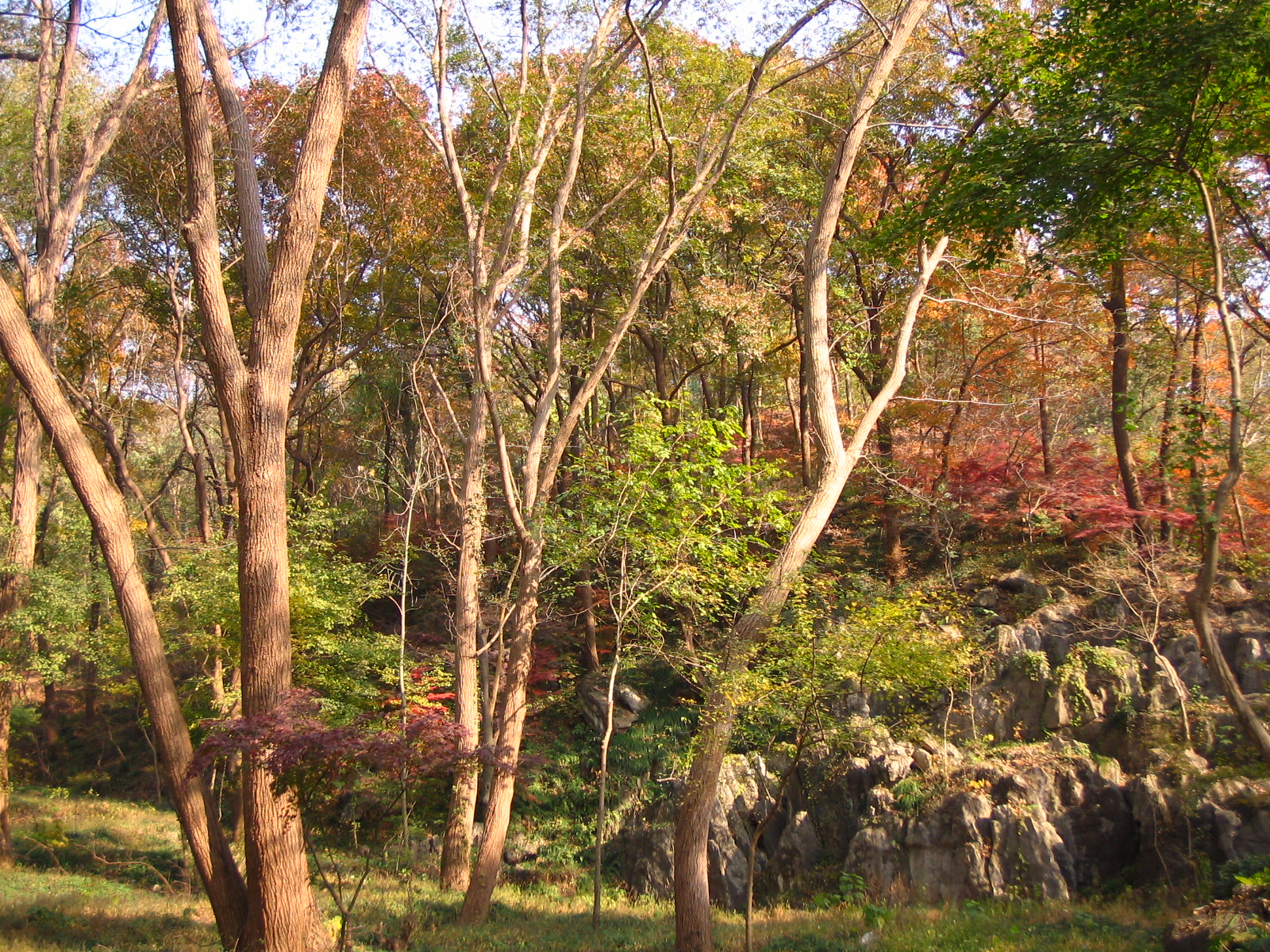 4535_14959_17442.jpg