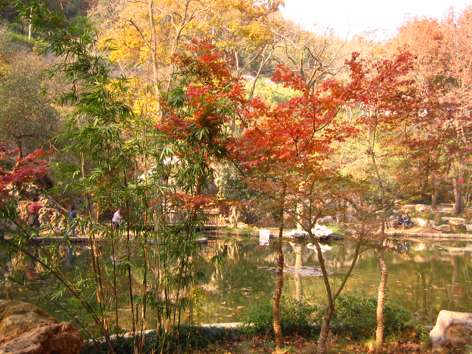 4535_14962_17448.jpg