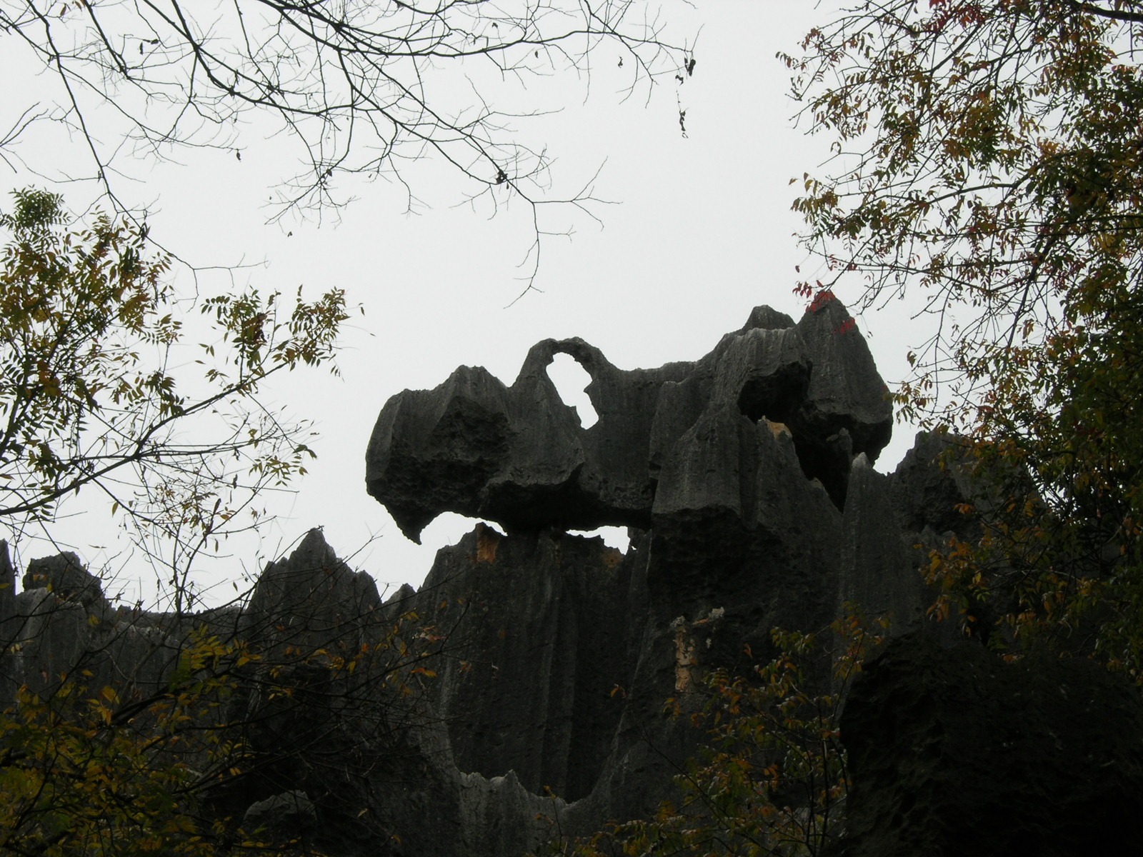 4553_15146_17624.jpg