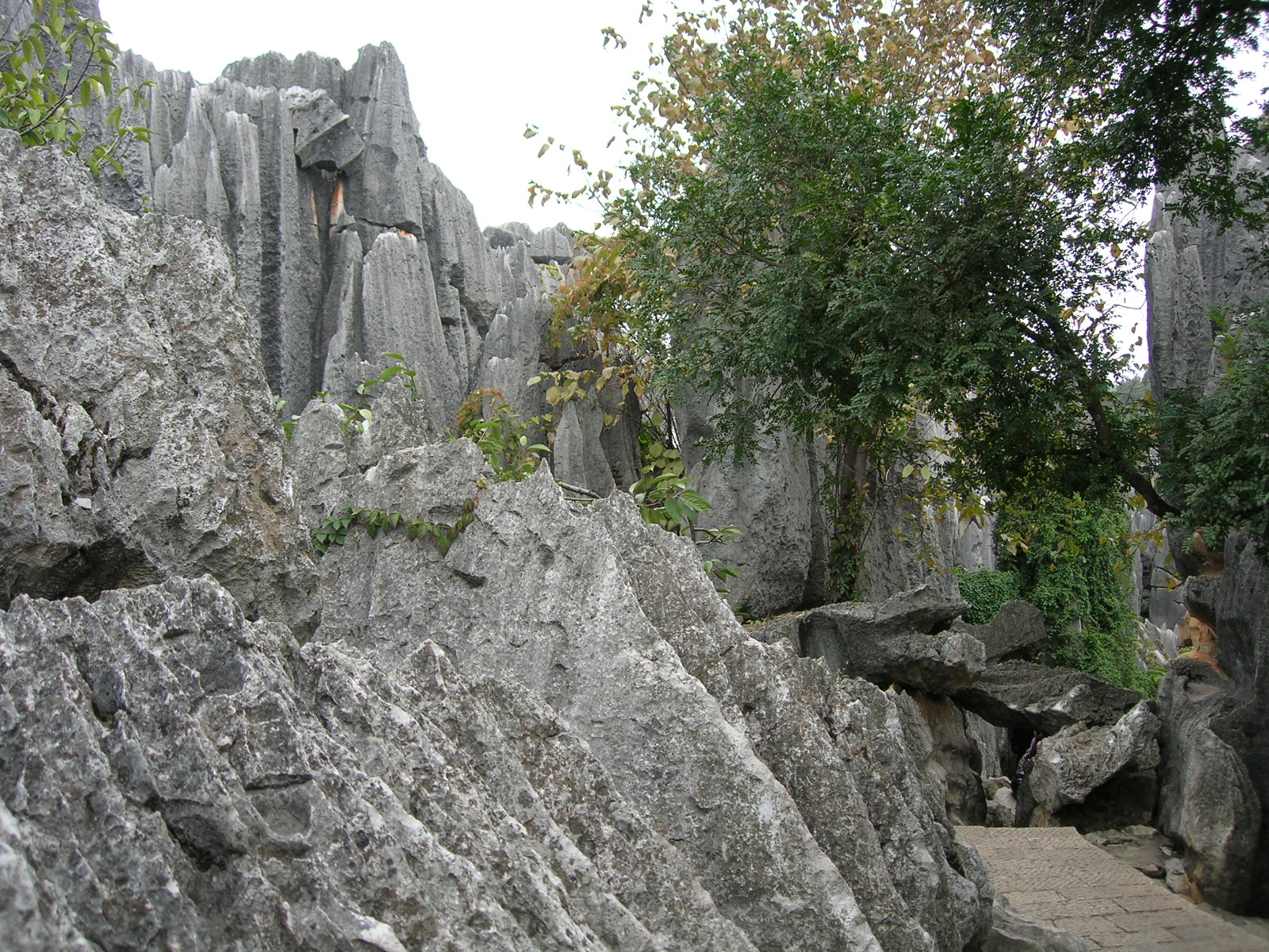 4553_15147_17625.jpg