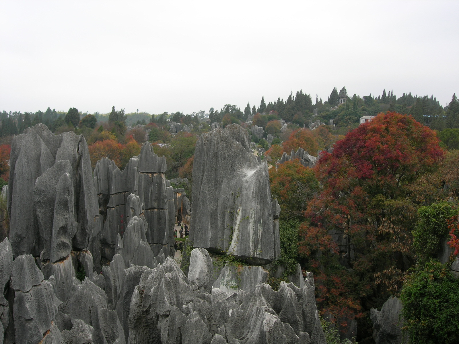 4553_15148_17626.jpg