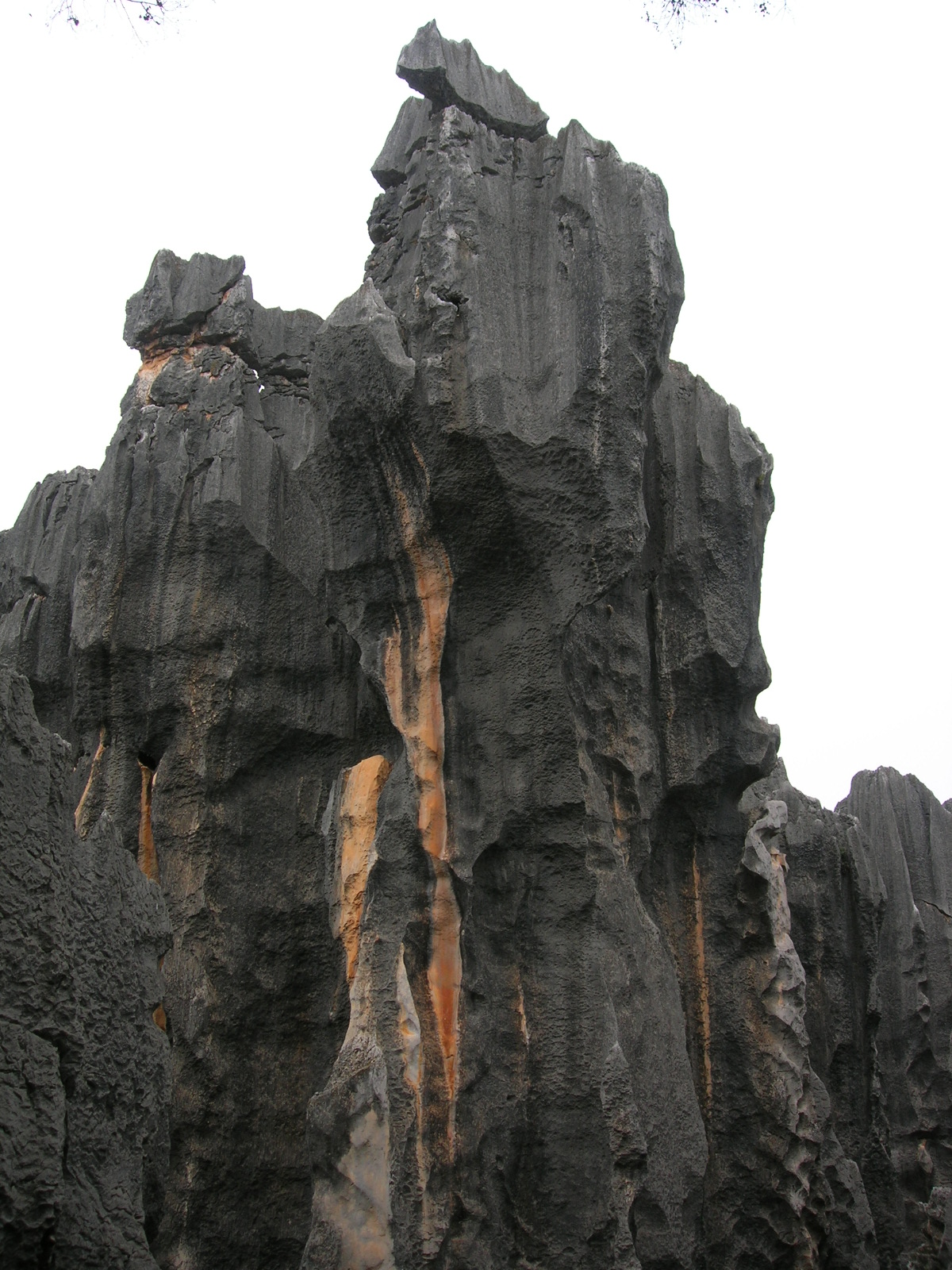 4553_15144_17622.jpg