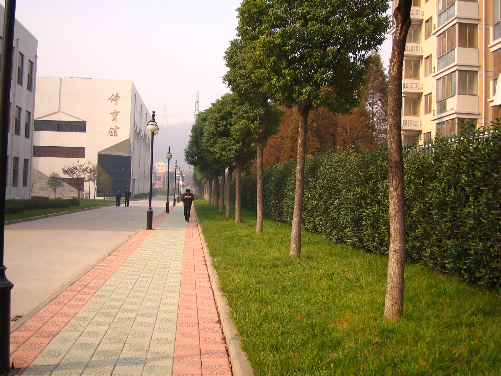 4495_14876_17318.jpg
