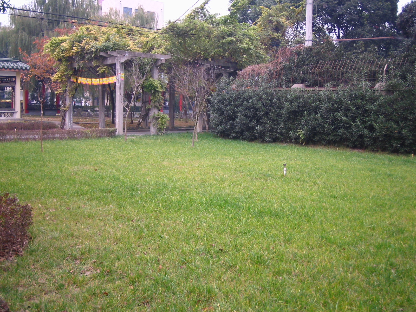 4495_14878_17324.jpg