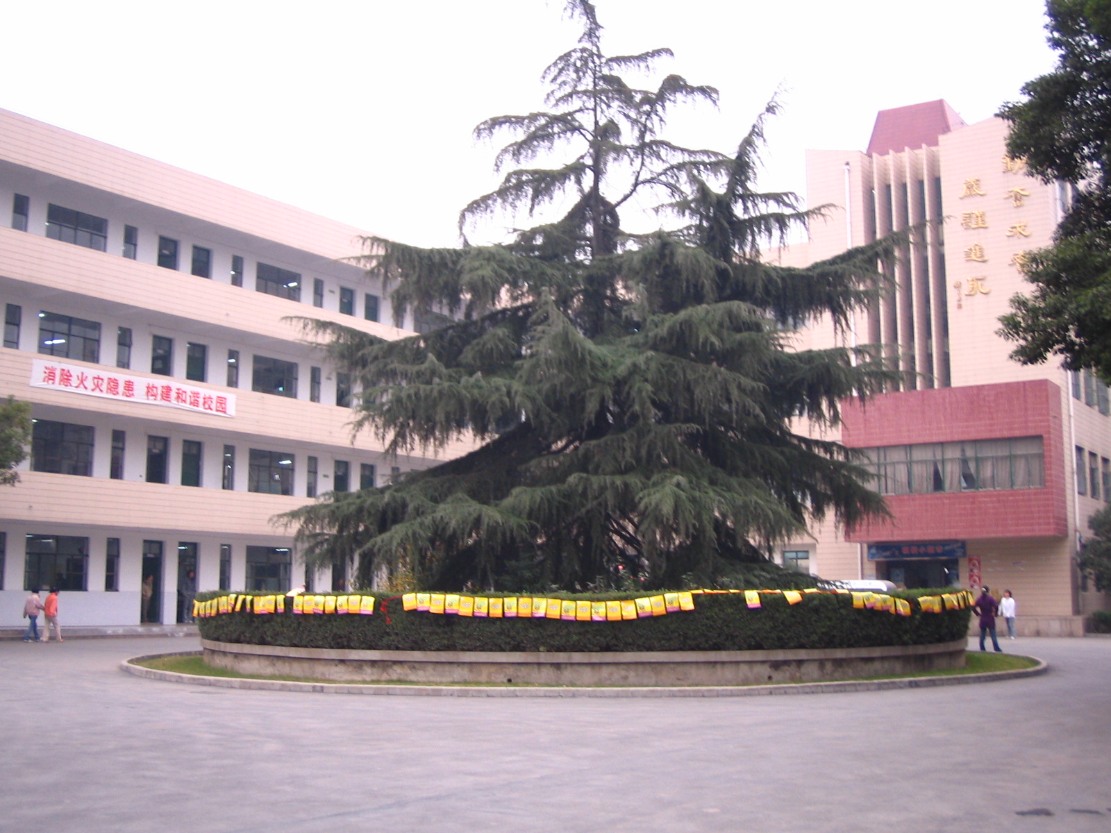 4495_14878_17326.jpg