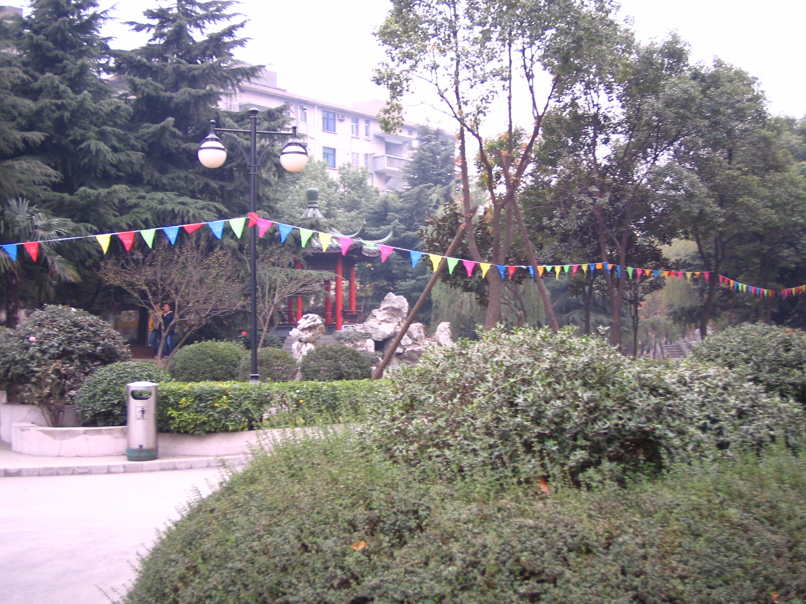 4495_14884_17344.jpg