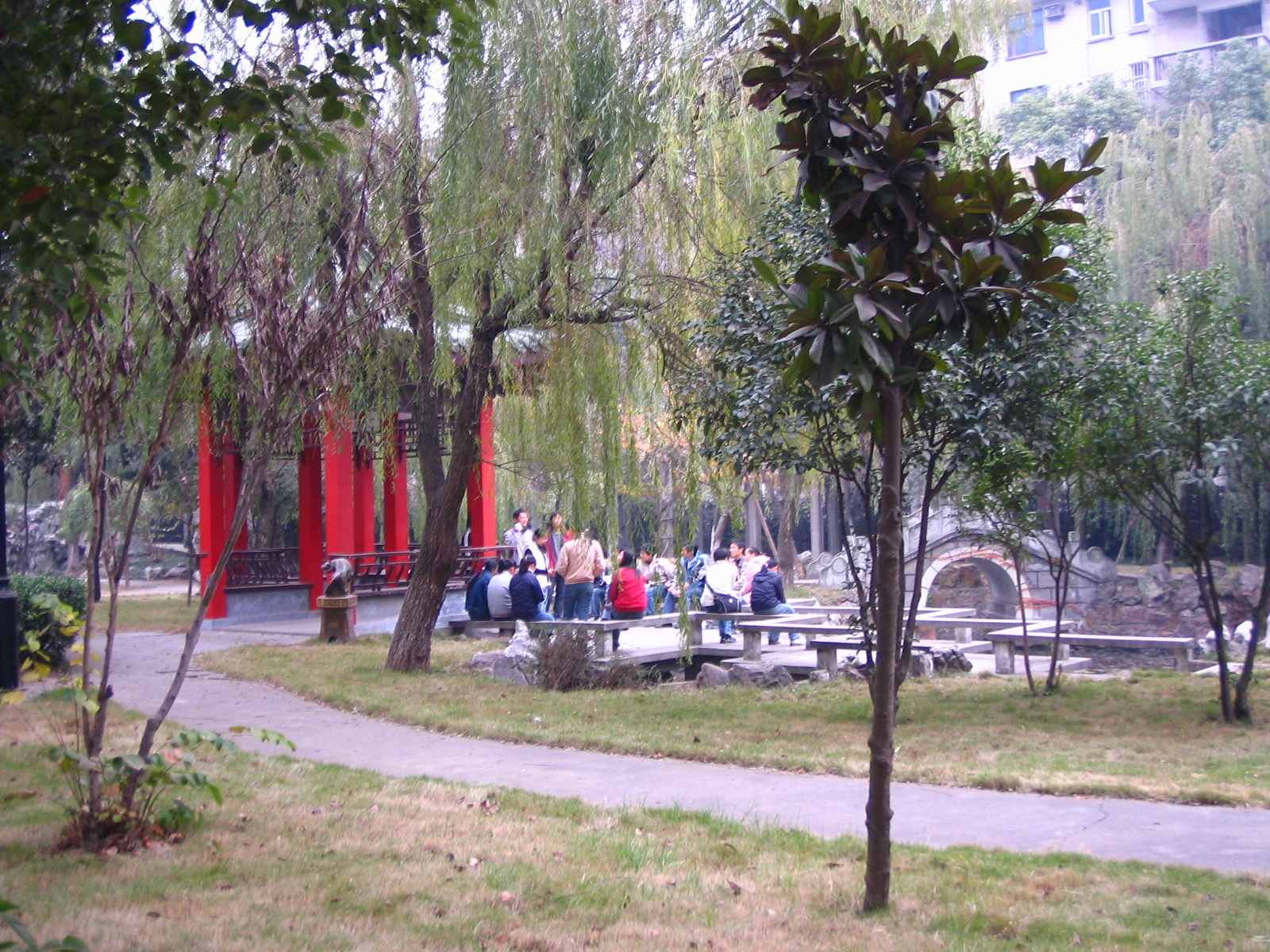4495_14884_17345.jpg