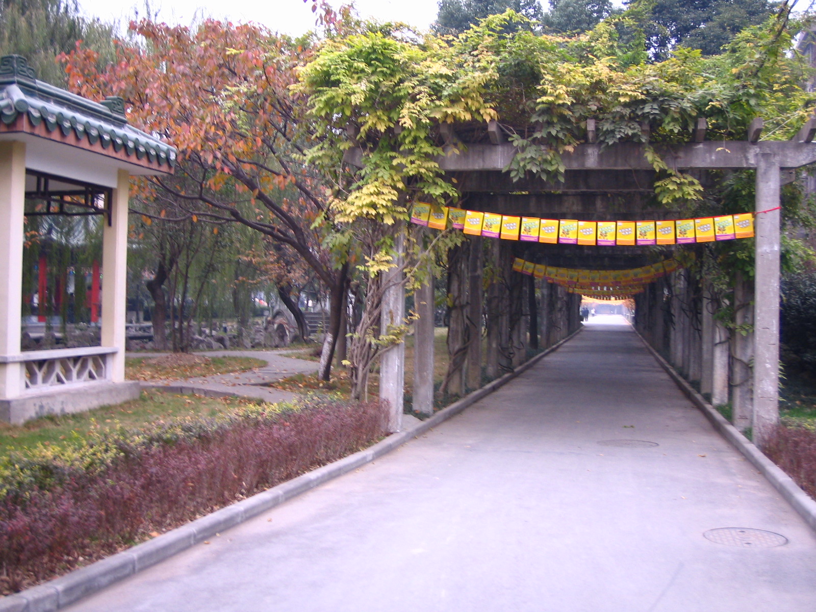 4495_14879_17329.jpg
