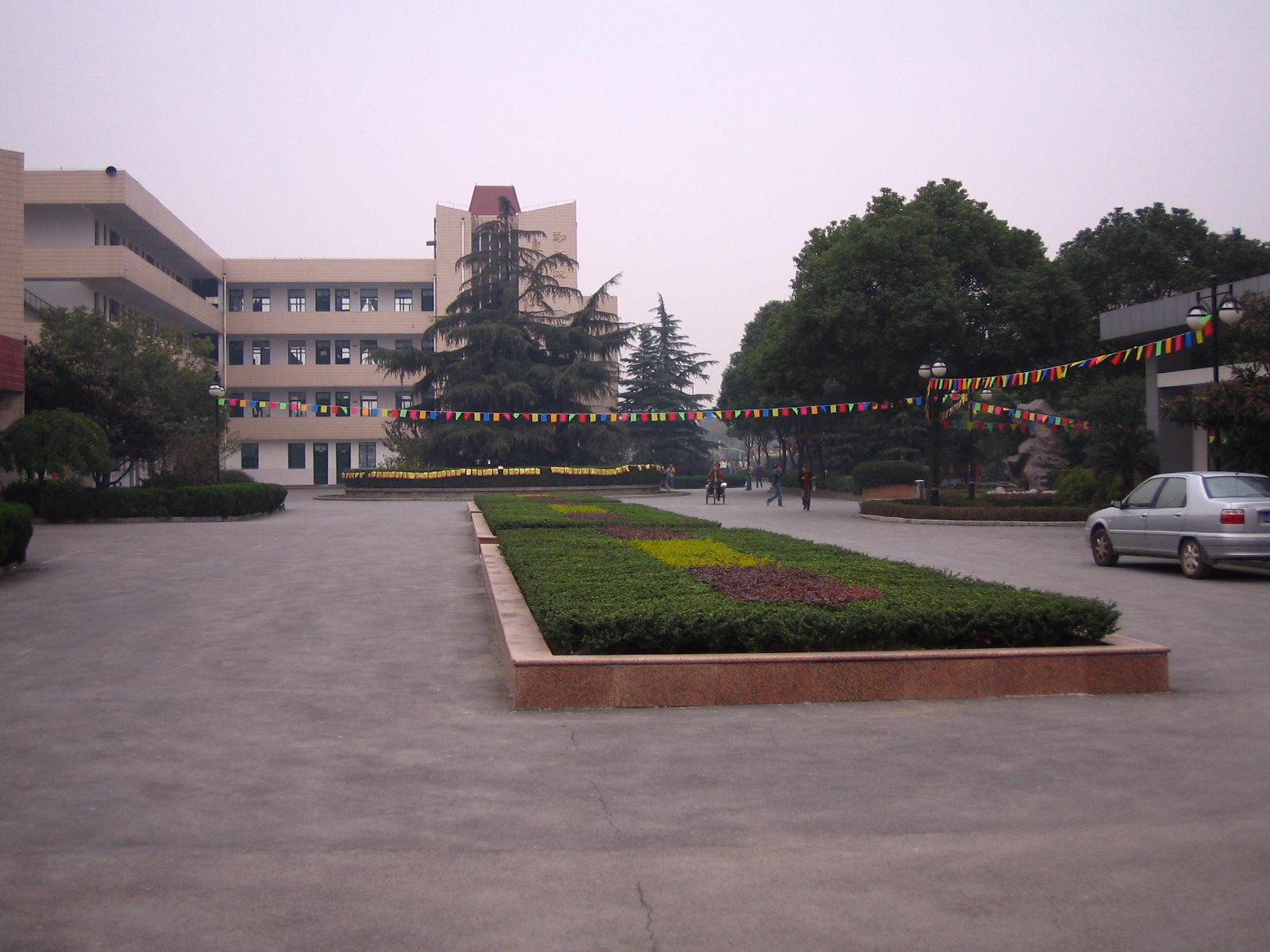 4495_14879_17330.jpg