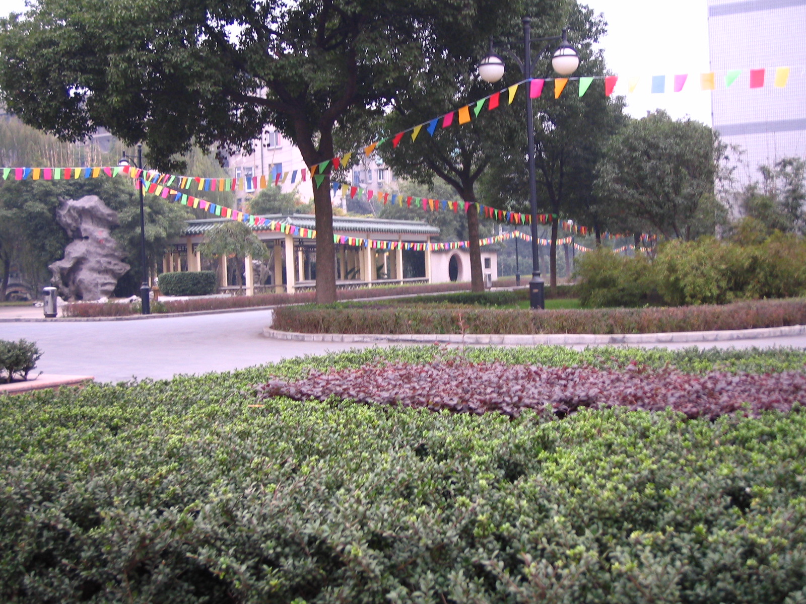4495_14880_17331.jpg