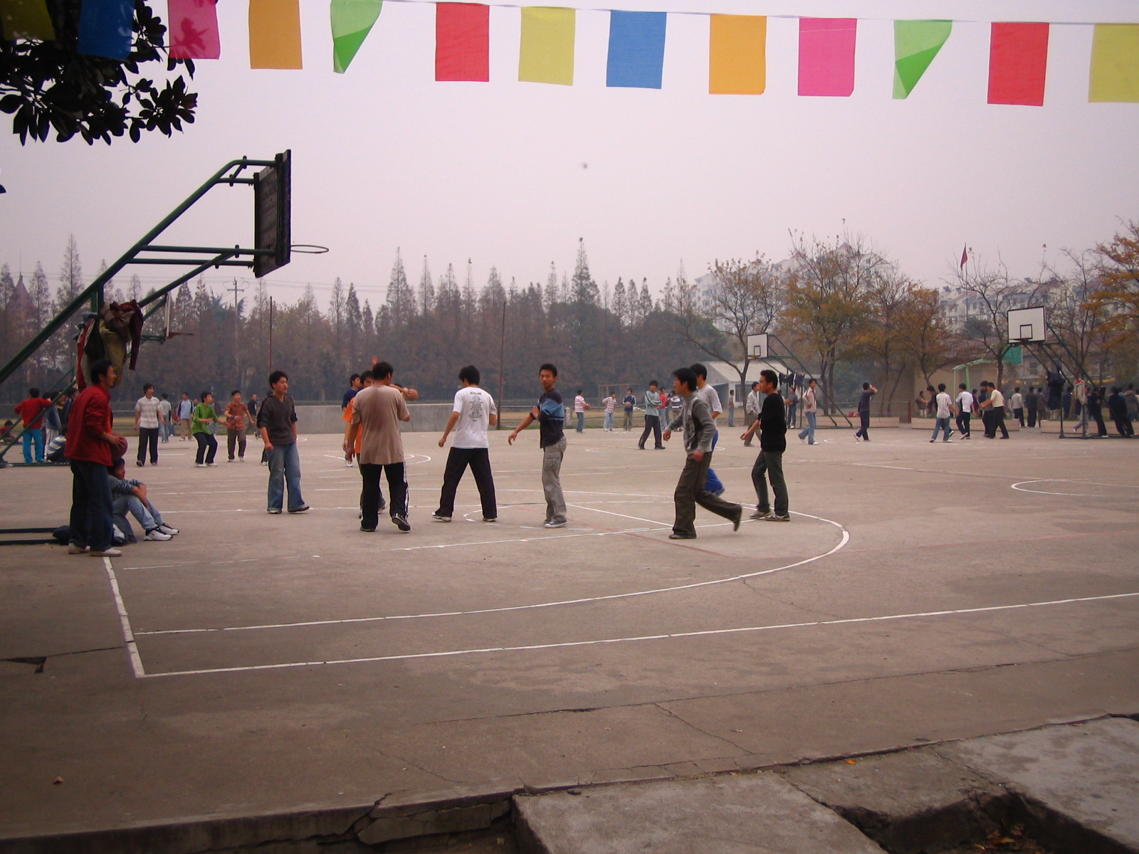 4495_14882_17337.jpg