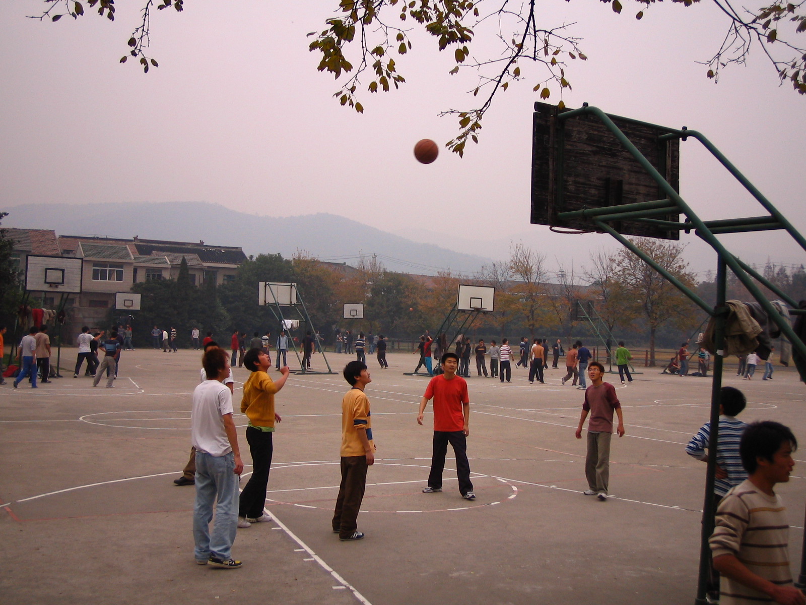 4495_14883_17340.jpg