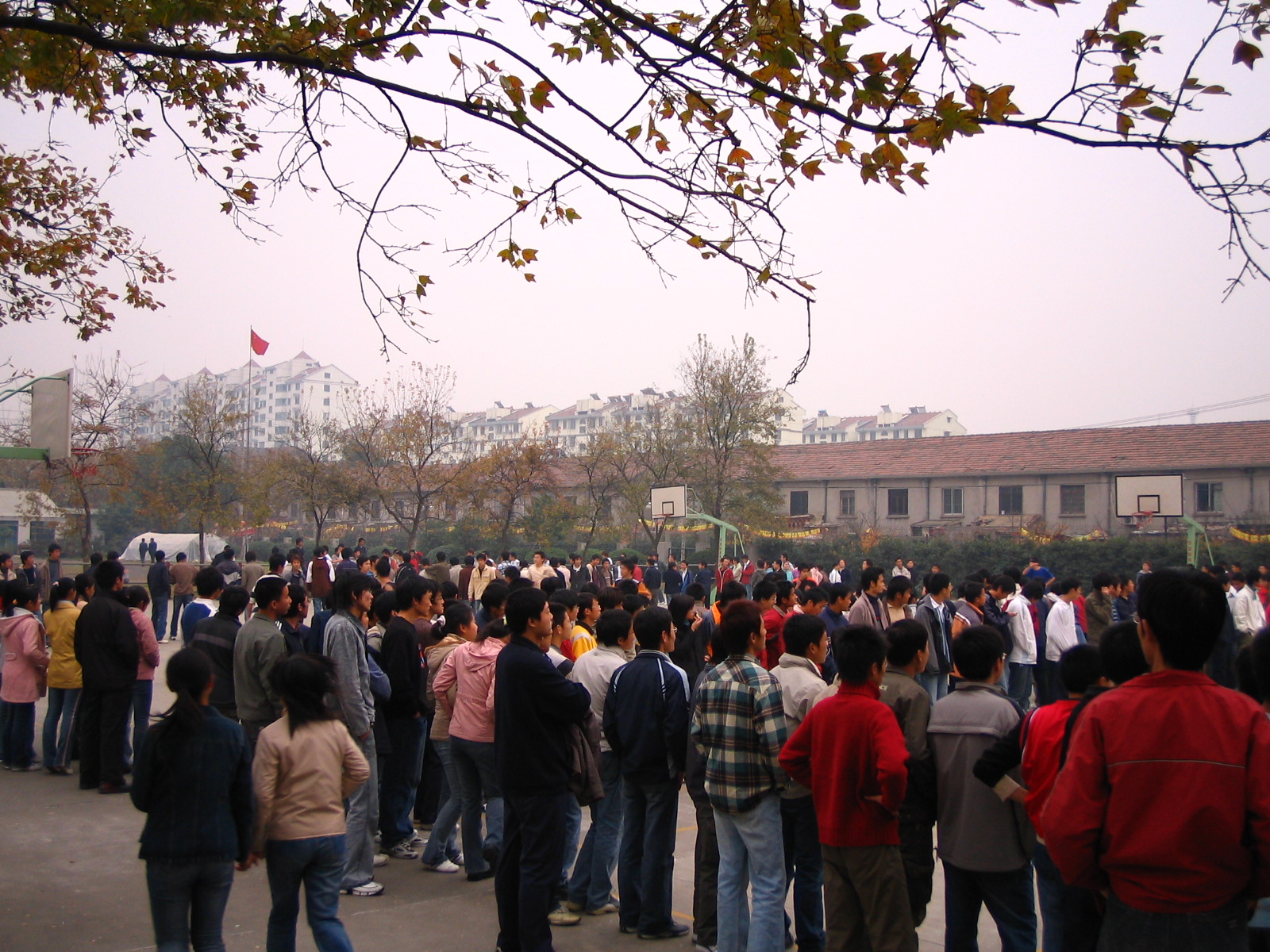 4495_14883_17342.jpg