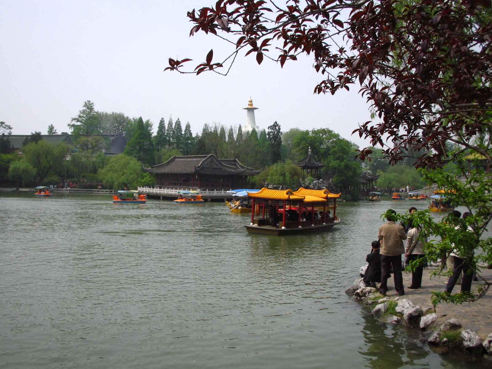 2443_7889_11998.jpg