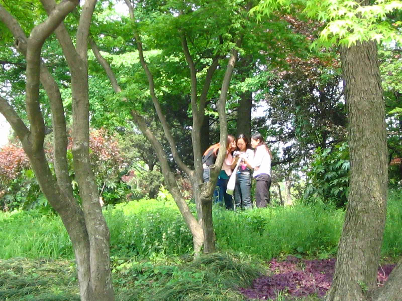 2443_7889_11999.jpg