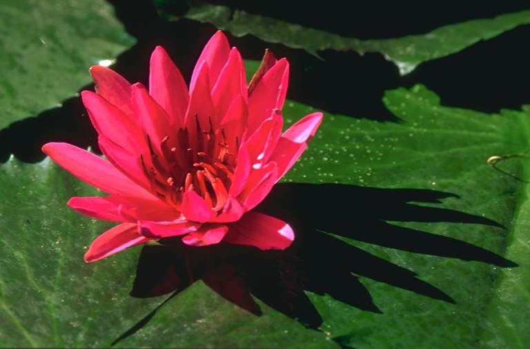 2733_9257_12827.jpg