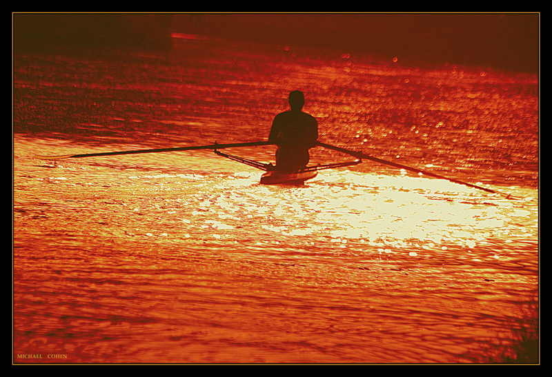 2869_10049_13383.gif