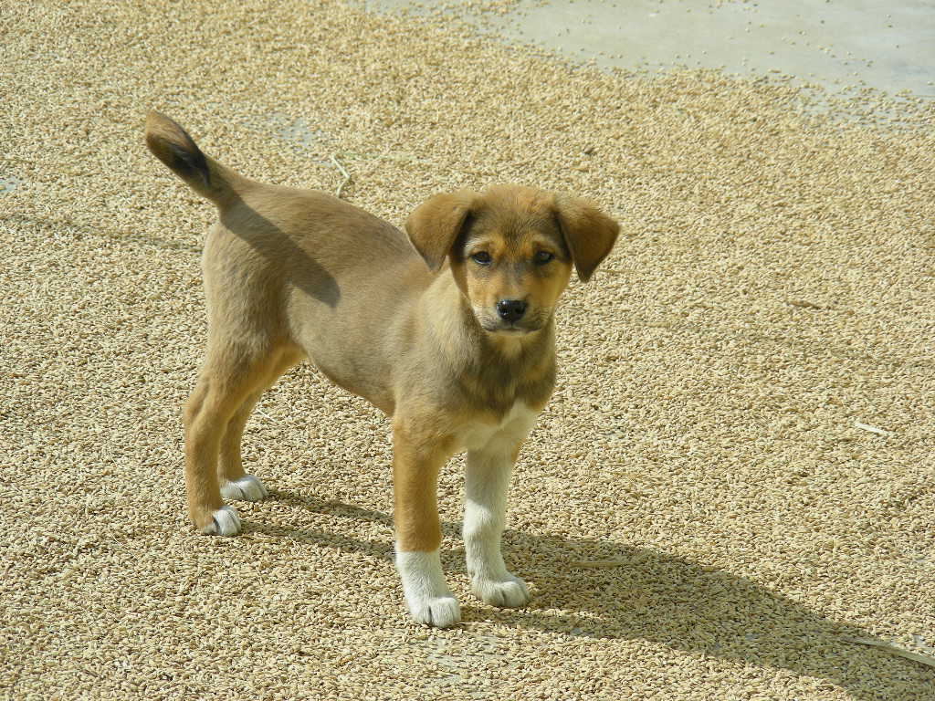 DSCN1091.JPG
