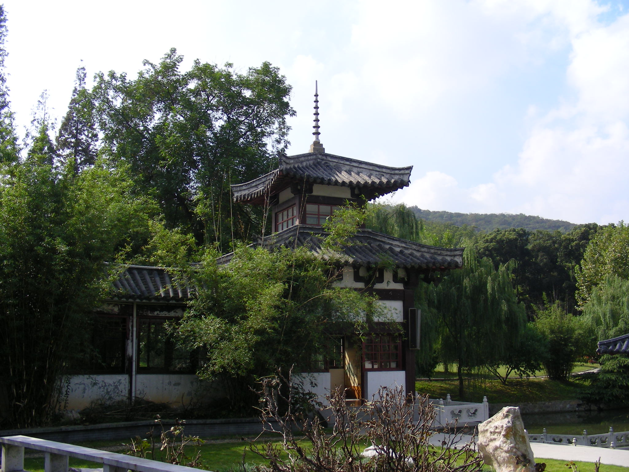 DSCN0627.JPG