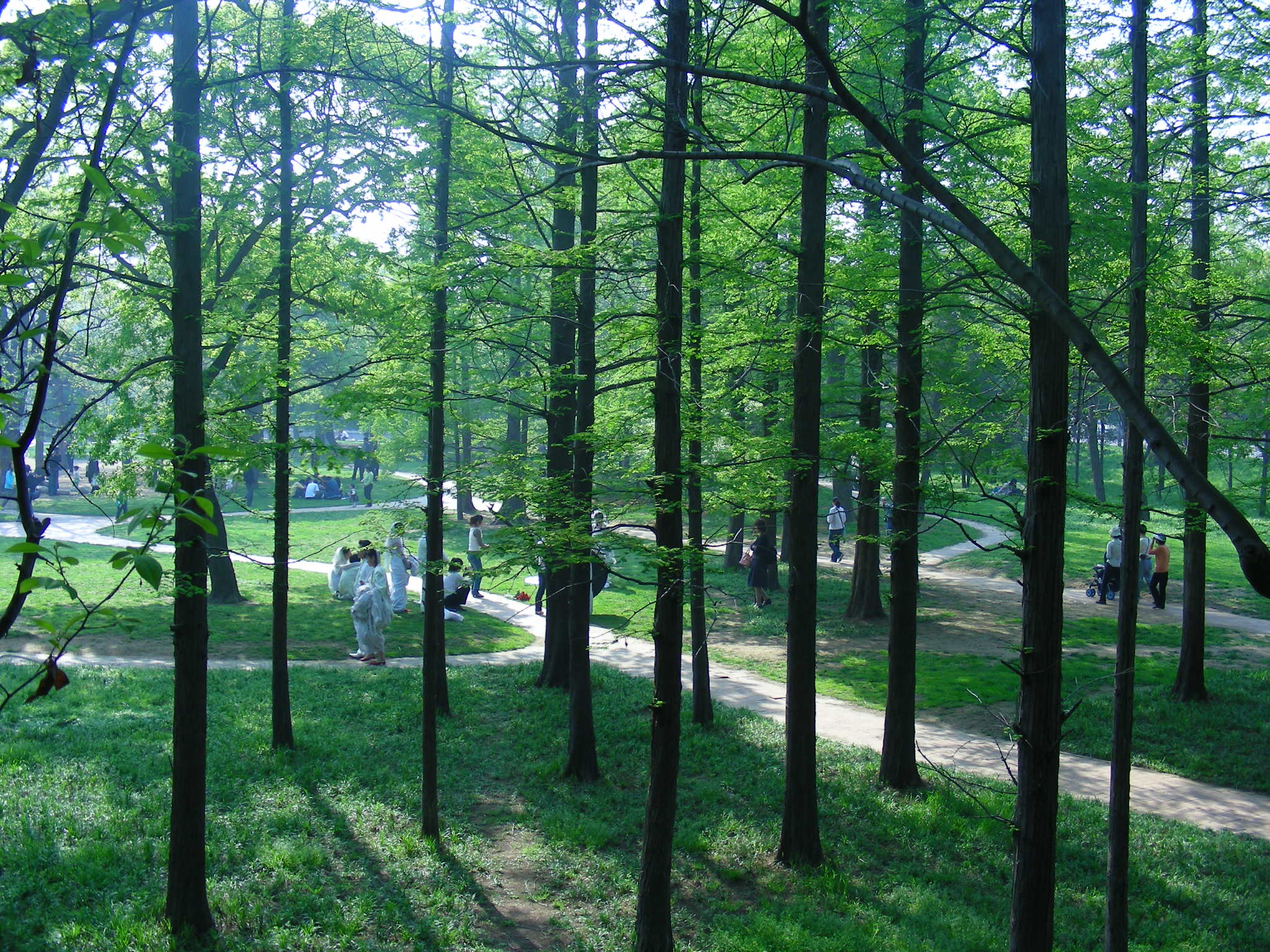 DSCN7539.JPG