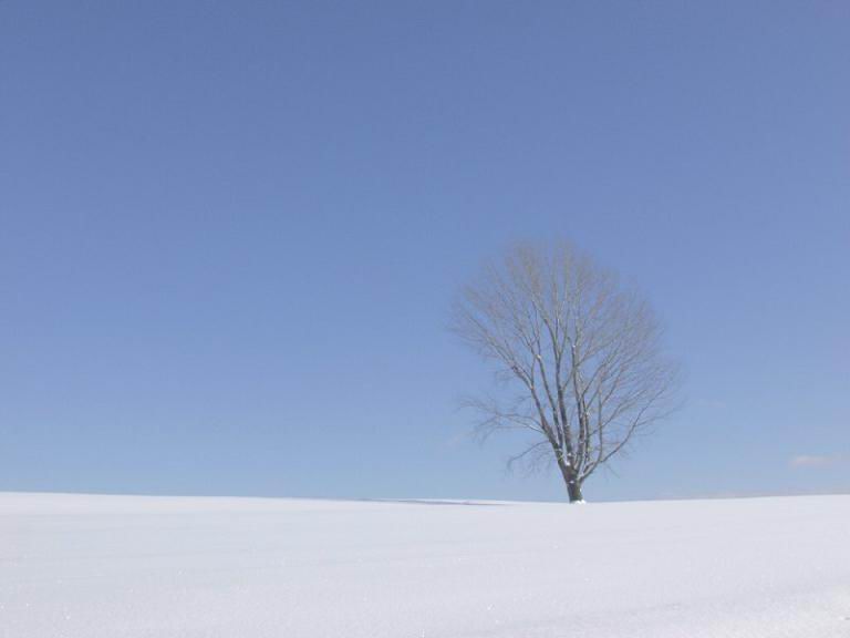 02008C68.jpg