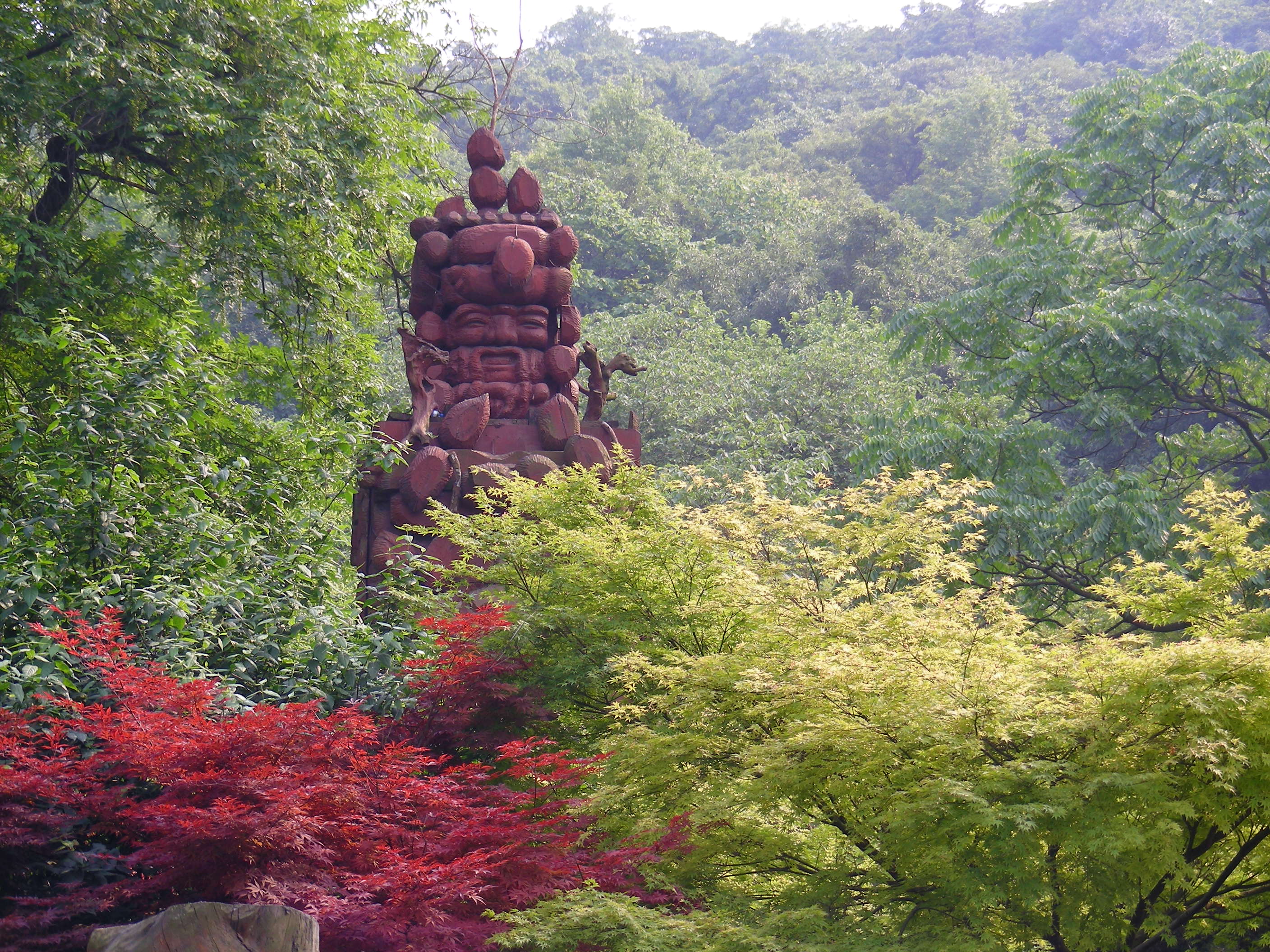 DSCN8426.JPG