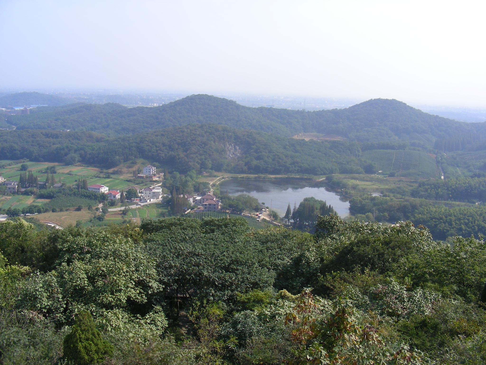 DSCN0720.JPG