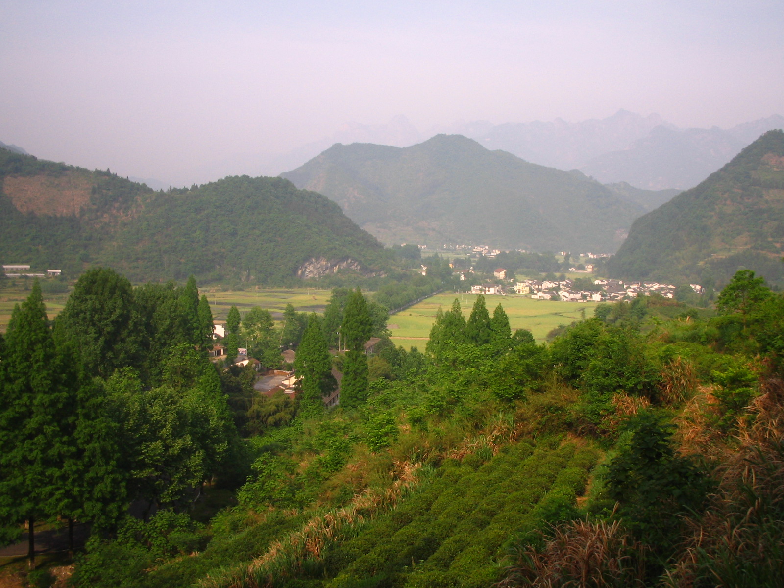 IMG_0186_2.JPG