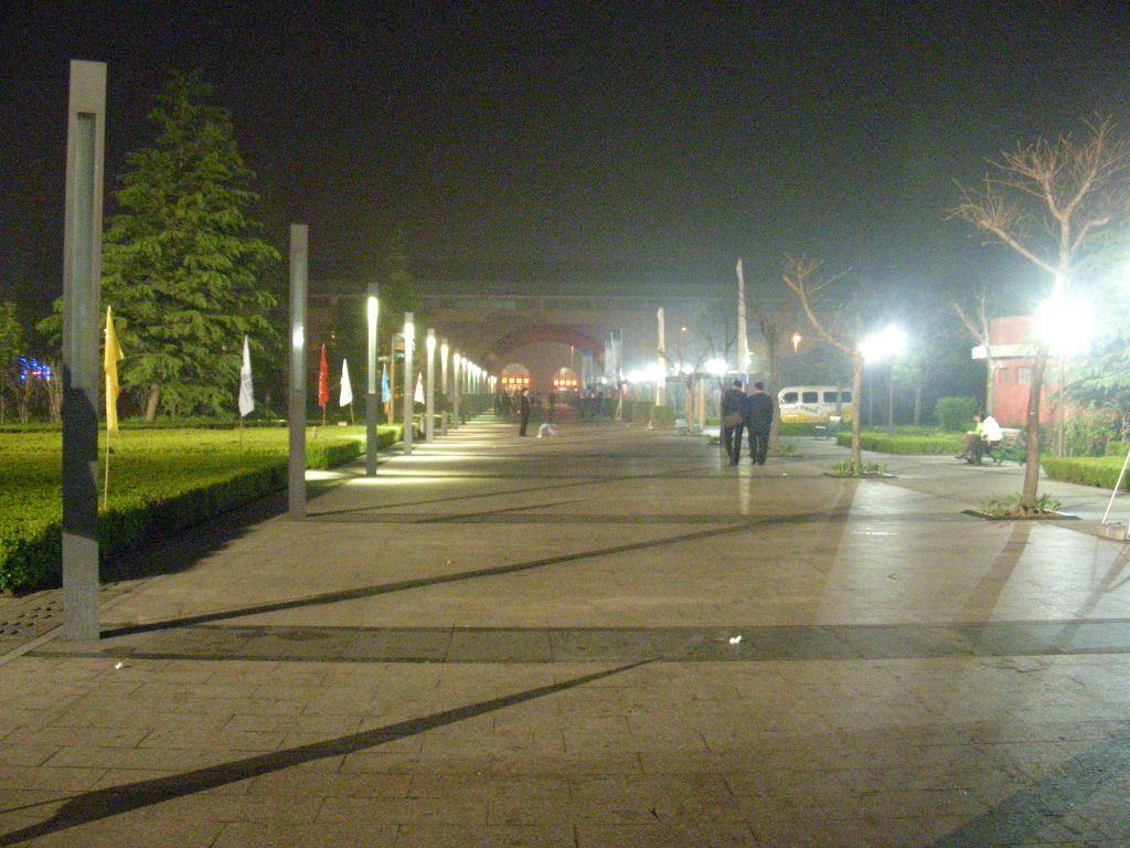 DSCN7233.JPG