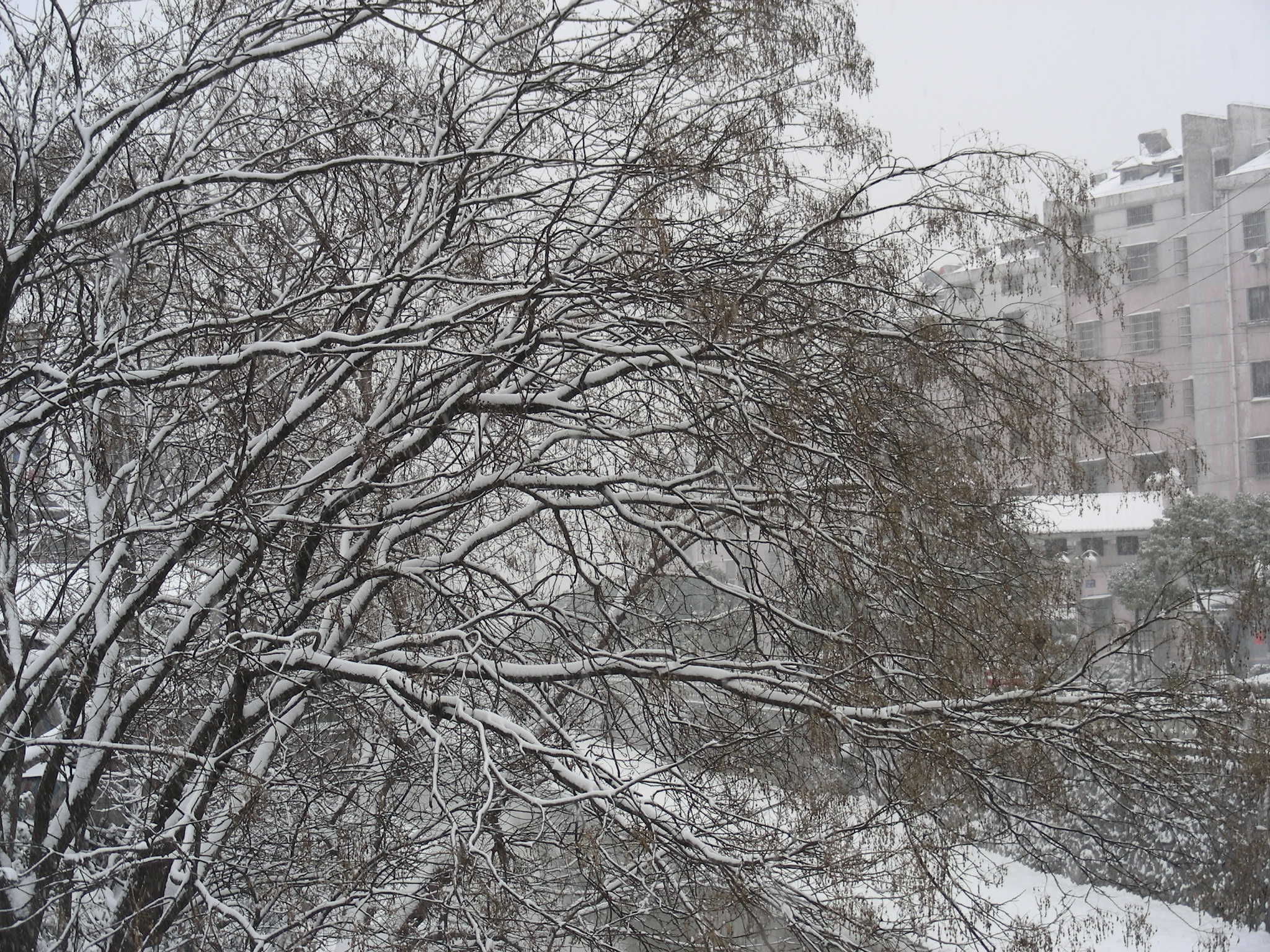 DSCN0200.JPG