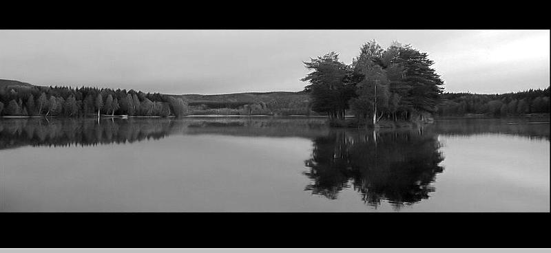 whwqy0517-black06.jpg