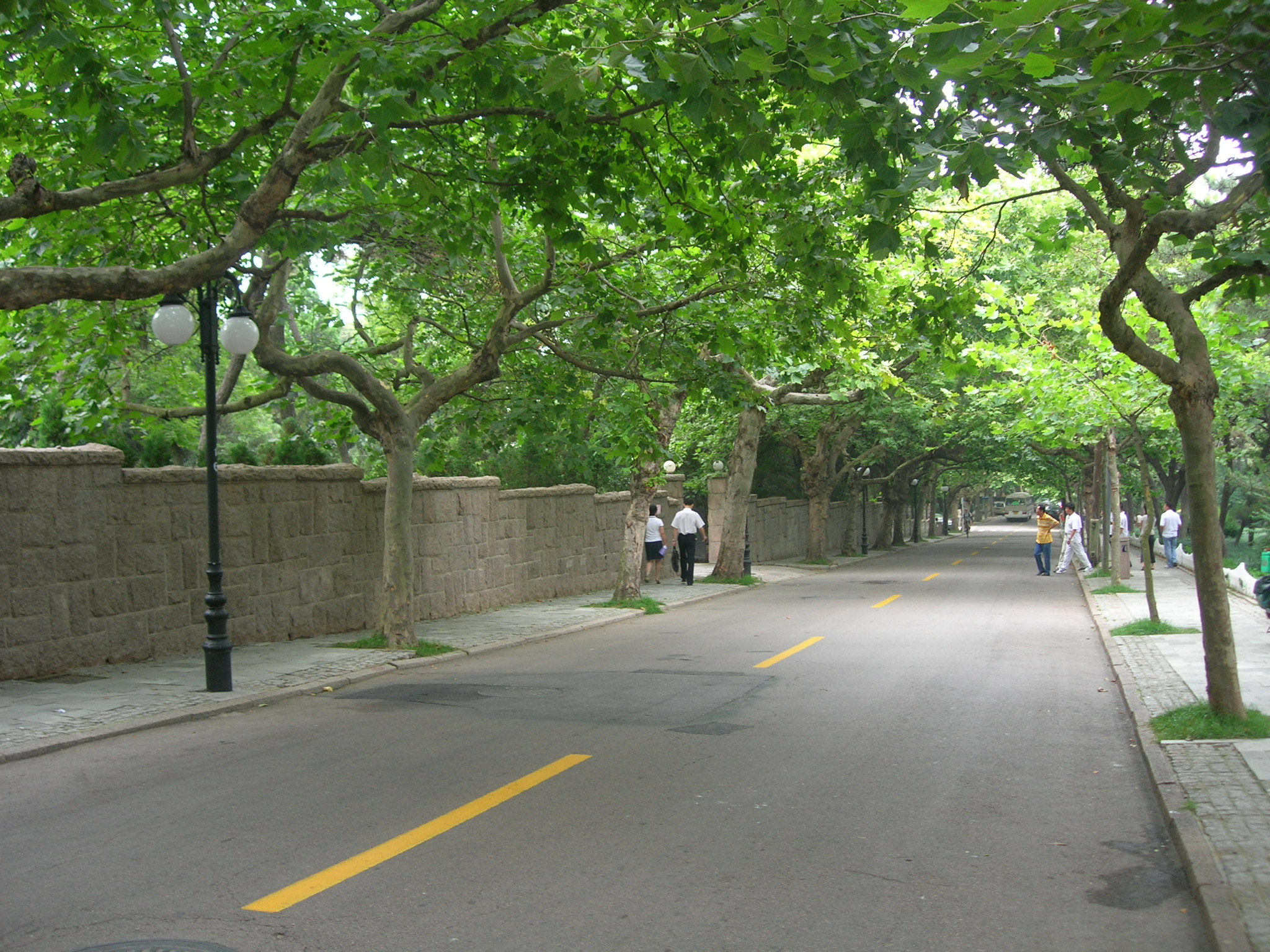 DSCN2780.JPG