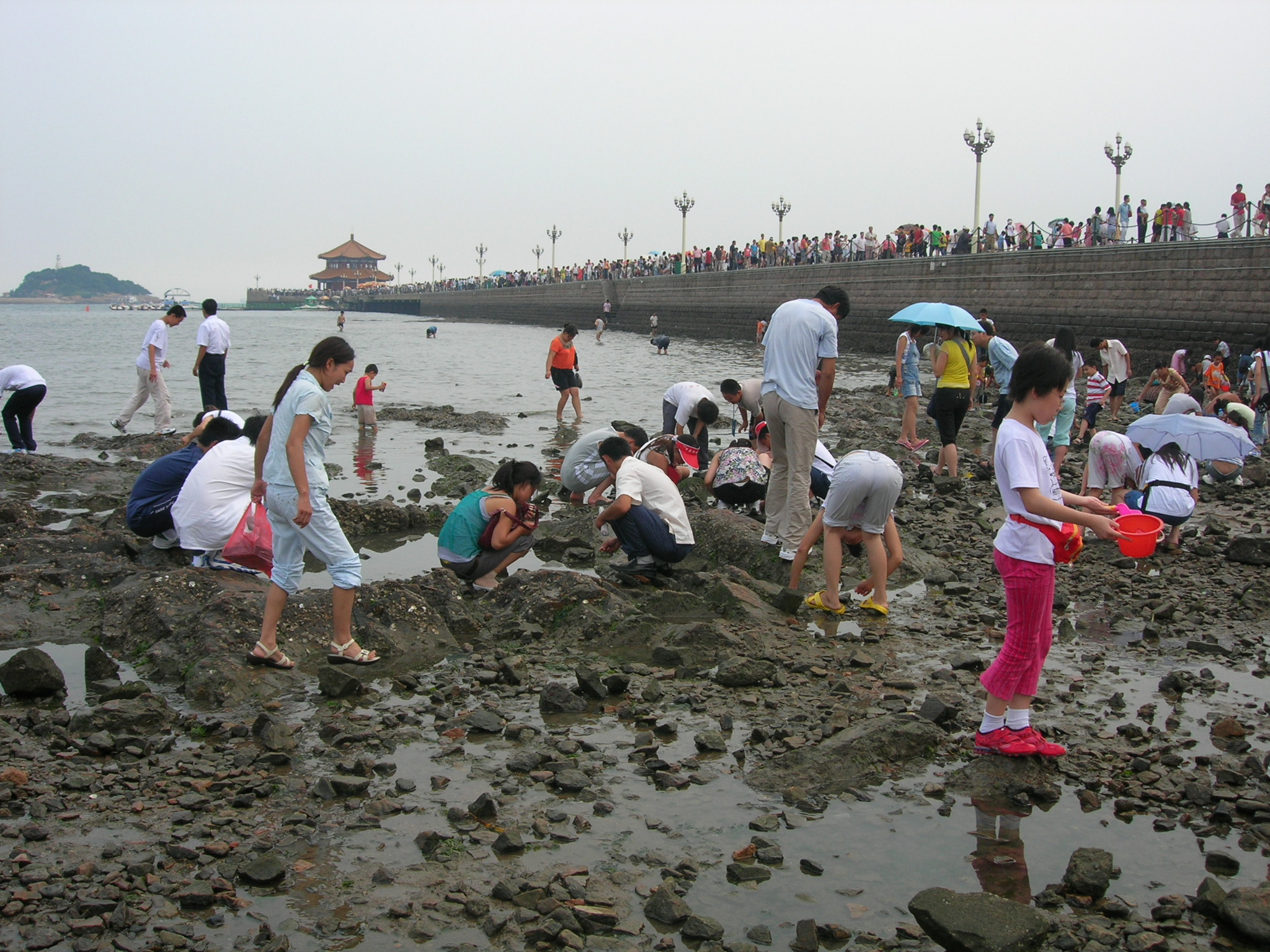 DSCN2742.JPG