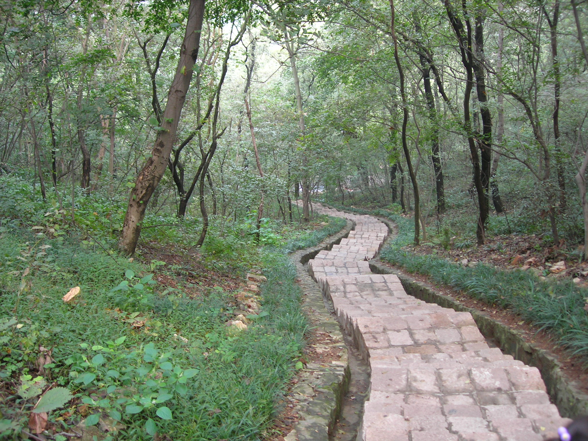 DSCN1781.JPG