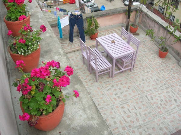 20065213383418016.jpg