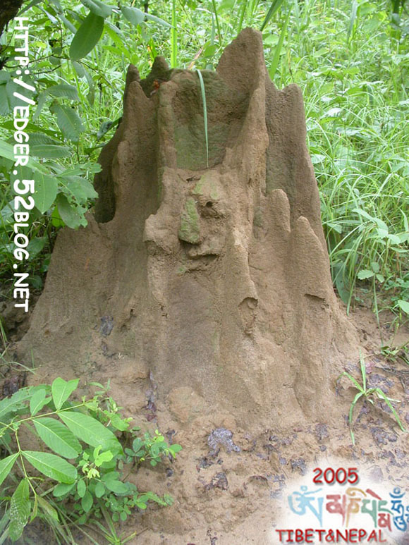 2005929236853625.jpg