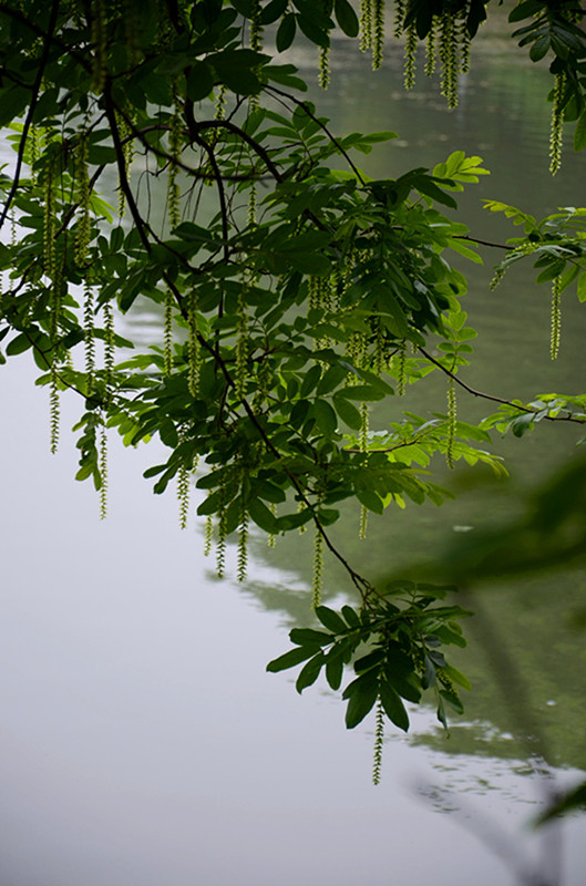 dsc_9759.jpg