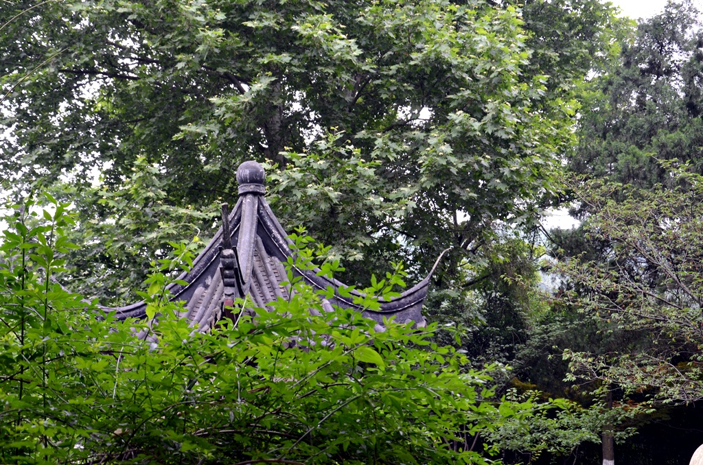 DSC_2489.JPG