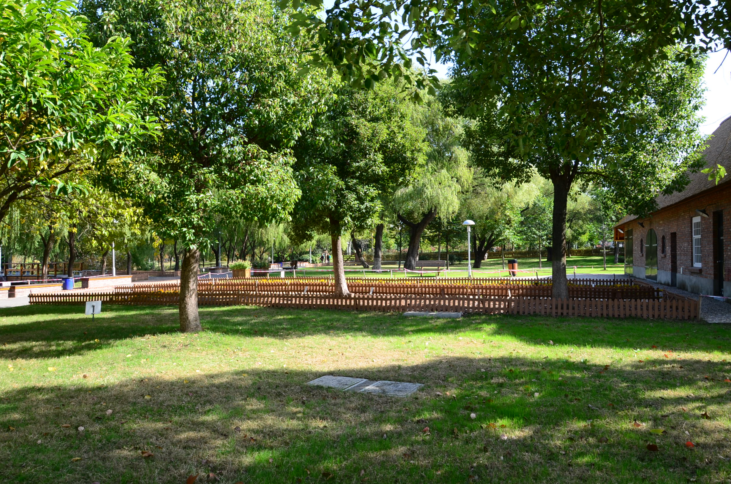 DSC_8553.JPG