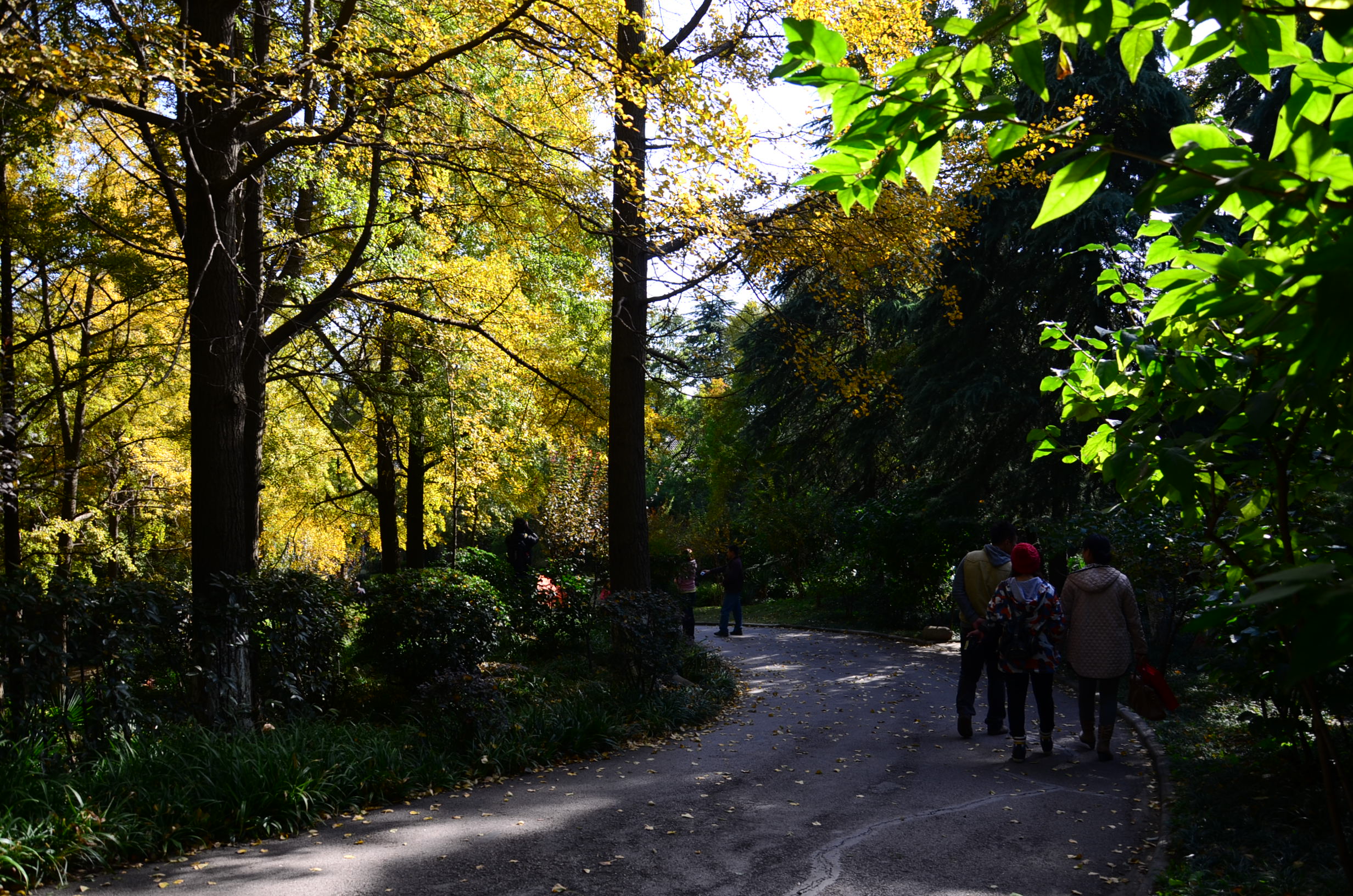 DSC_8680.JPG