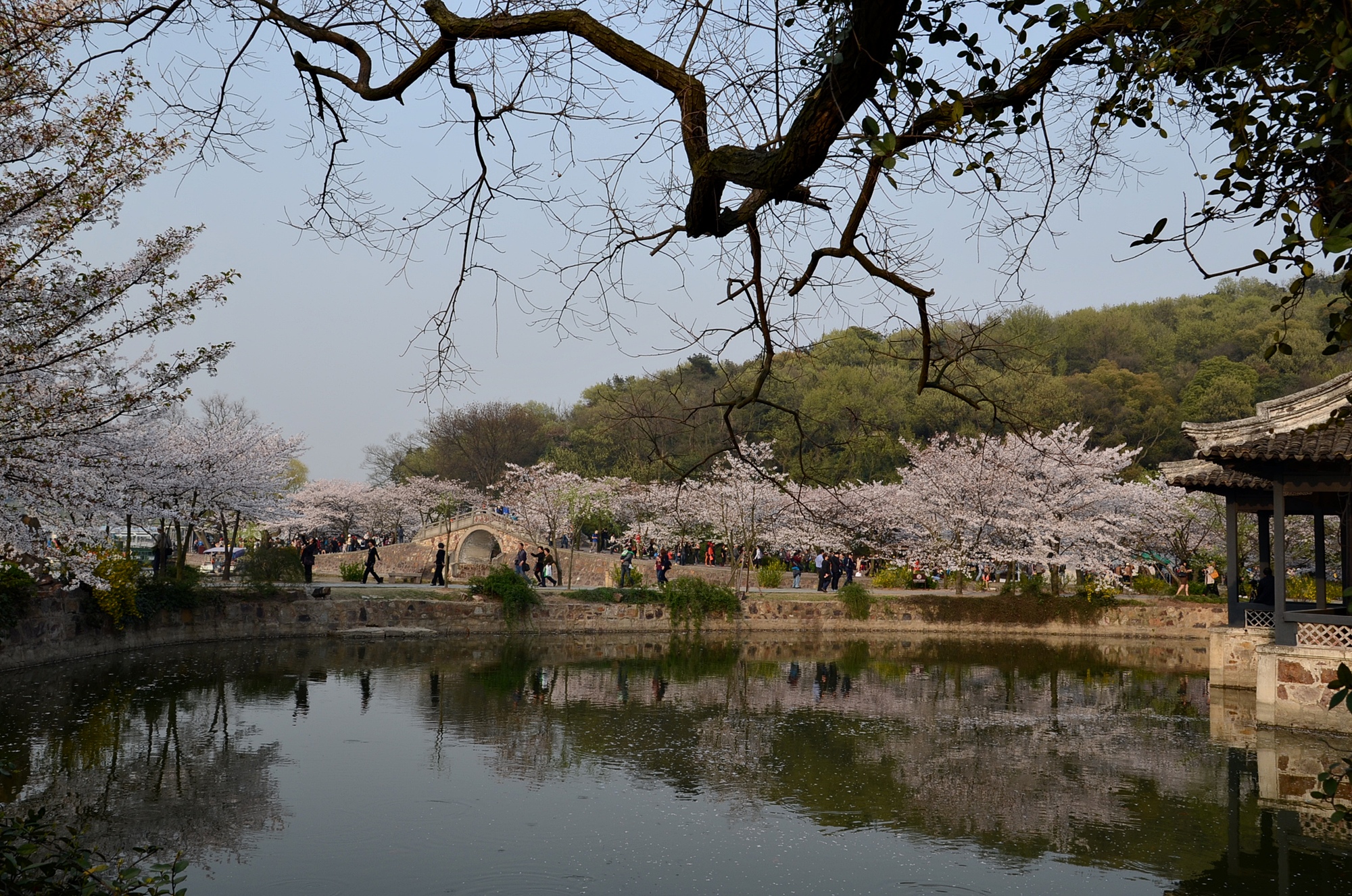 DSC_6798.JPG