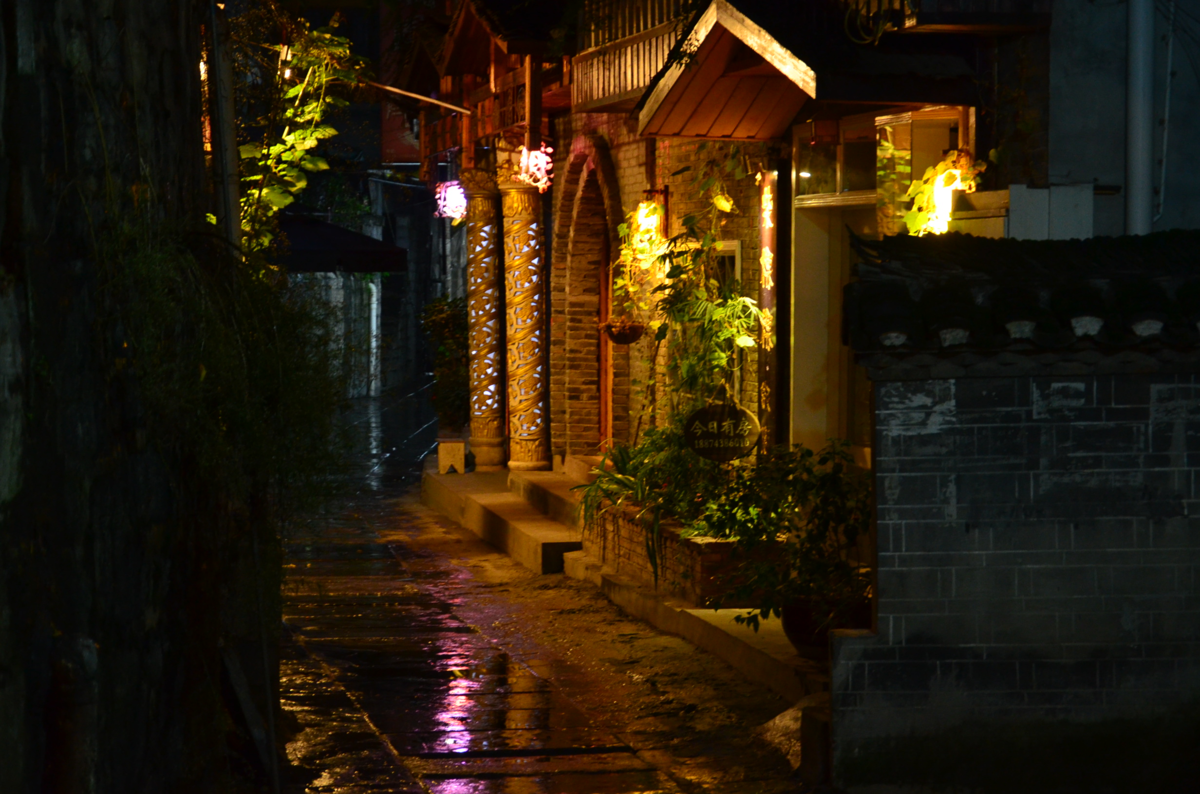 DSC_5800.JPG