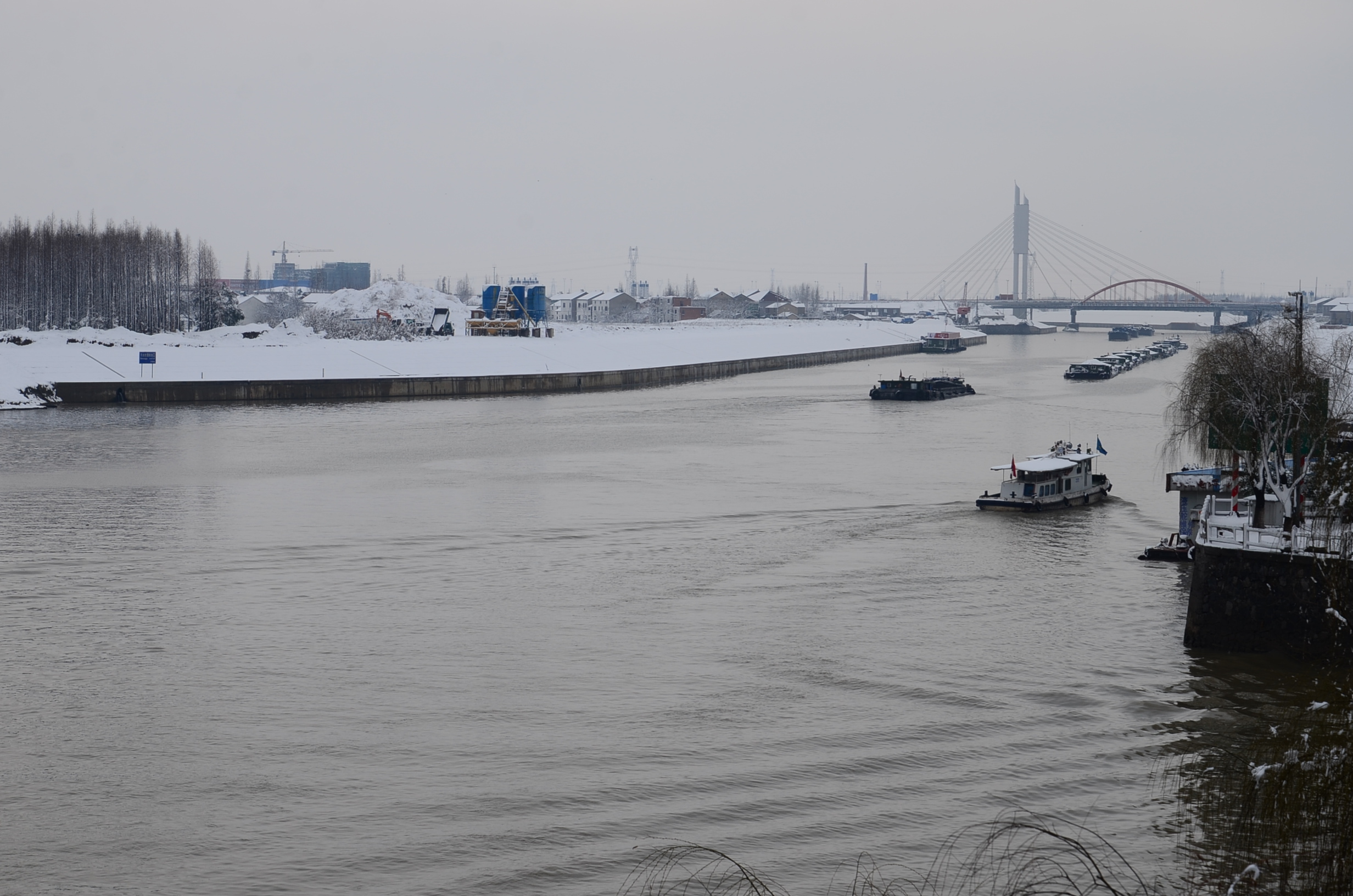 DSC_1664.JPG